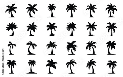 A collection of black silhouettes depicting various tropical palm trees in different shapes