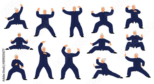 Senior man and woman practicing various tai chi and qigong martial arts movements for physical health, mental balance, and meditation benefits.