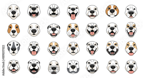 Large collection of diverse dog face illustrations showing various breeds with happy, calm, and curious facial expressions.