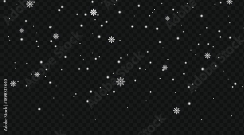 Light Winter Snowfall with Snowflakes on Transparent Dark Background, vector