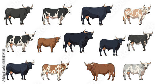 Collection of various cattle breeds including bulls and cows with different coat patterns and colors in a set.