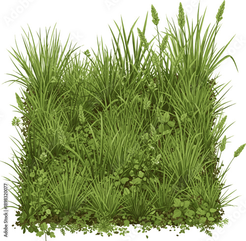 Realistic grass Dense green grass and natural ground vegetation forming a fresh, wild meadow texture on a white background. vector art with white background