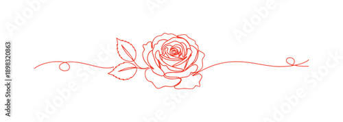 One-line abstract drawing. A decorative horizontal piece with a rose and a leaf. A stunning hand-drawn flower on a white canvas. Line art for frame design.