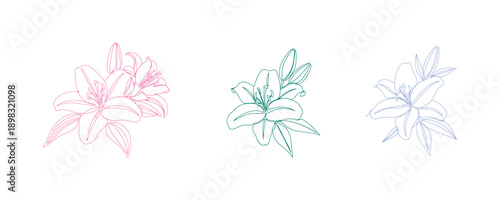 A graceful and artistic one-line depiction of a blooming lily flower with its leaves, rendered in a minimalist colorful style on a white surface. One line icon of a lily flower. Vector illustration.