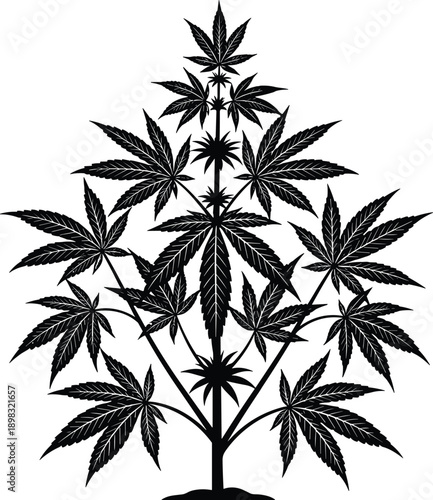Cannabis plant silhouette illustration, marijuana leaf tree vector, hemp botanical design, black and white isolated graphic, medical weed symbol