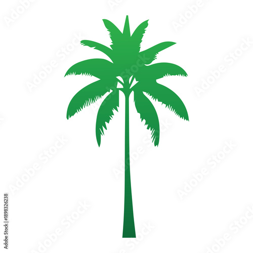 Silhouette of palm tree with green gradient, tropical plant, exotic nature, vector art