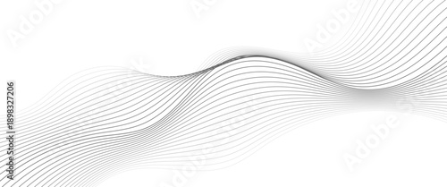 Abstract gray wave dynamic curve lines future technology vector png..