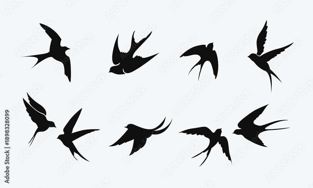 Obraz premium Flying Swallows Silhouette Set White Black Vector