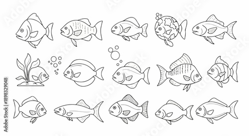 Line art fish drawings, showing various aquatic creatures as simple black and white sketches. Diverse line art fish show marine life in minimalist style. Line art fish concept for children's books,