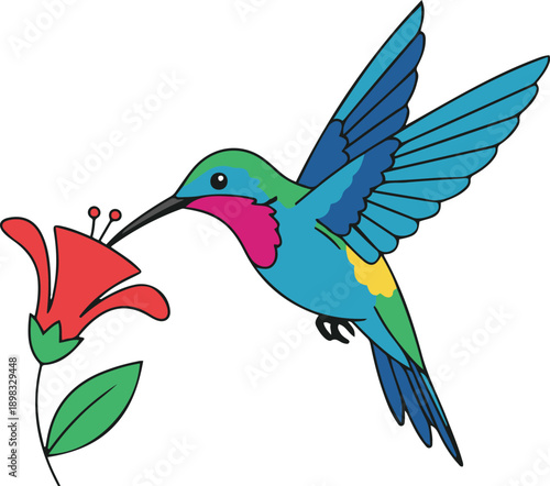 Vector illustration of a colorful hummingbird hovering and drinking nectar from a red flower, isolated on a white background.