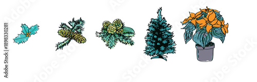 Colorful potted flowers illustration, isolated vector set. Set of trendy potted plants for home. Different indoor houseplants isolated on white background vector illustration.