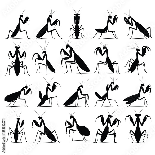 A collection of black silhouette praying mantis illustrations in various poses and perspectives
