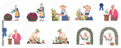 Senior Woman Rose Gardening Activities Set: Watering, Pruning, Planting, and Winning a Prize at a Flower Show Competition.