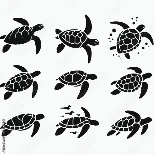 A collection of black silhouette turtle illustrations in various poses and styles