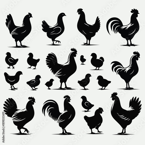 A collection of black silhouettes depicting various chickens roosters and chicks high quality