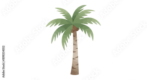 Watercolor Palm Tree Illustration - Tropical Plant Isolated on White Background