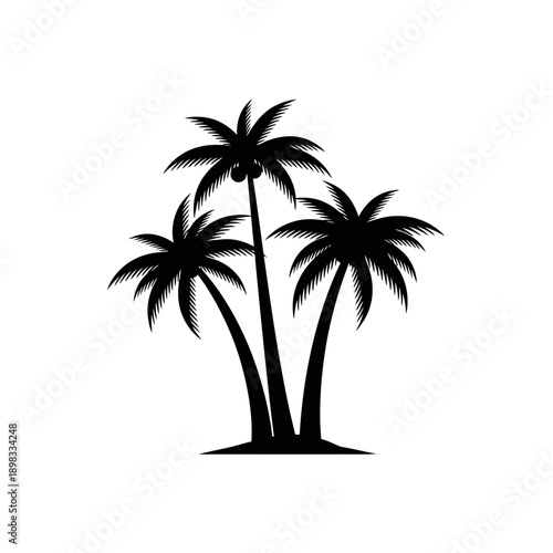 Silhouette of three palm trees with coconuts on a white background, vector illustration