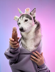 A Siberian Husky wearing a unicorn costume makes a lively gesture against a pink and blue gradient background. The playful expression and colorful theme enhance the cheerful tone of the image.