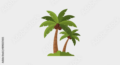 Two Palm Trees with Coconuts, Tropical Island Vegetation Illustration