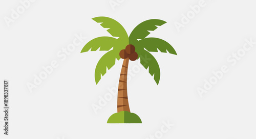 Flat design coconut palm tree with coconuts on white background