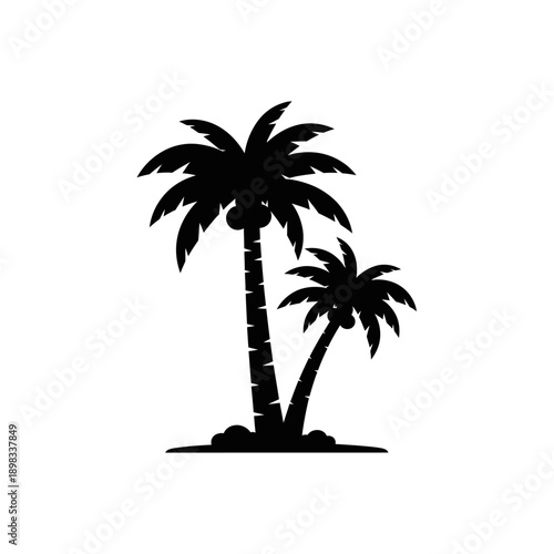 Silhouette of two palm trees with coconuts on a white background, tropical island symbol