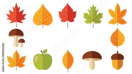Set of autumn themed elements including various colorful leaves, mushrooms, a green apple, and a brown acorn on white.