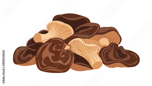 Large pile of various fresh brown edible mushrooms like shiitake and oyster varieties shown in a flat vector style illustration.