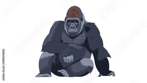 Powerful silverback gorilla sitting in a relaxed pose with a thoughtful expression in a detailed flat vector style illustration.