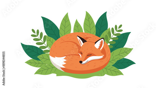 Red fox curled up and sleeping peacefully in a patch of green leaves in a charming woodland animal vector illustration design.