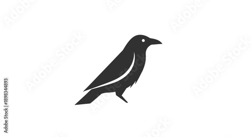 Minimalist black crow silhouette, depicting an intelligent bird on an isolated white background.
