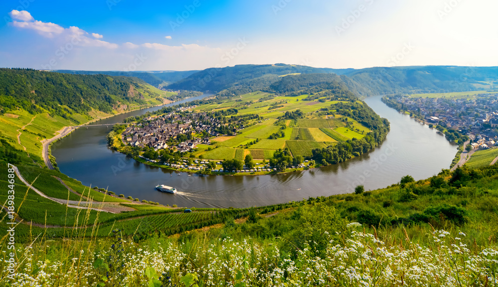 Obraz premium Panorama of the landscape along the Moselle River with the famous 180-degree river bend near Kröv in Rhineland-Palatinate (Germany). Idyllic view from one of the vineyards on a sunny summer day with a