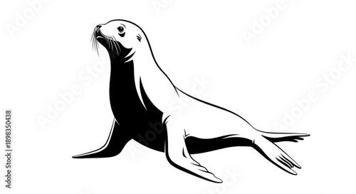seal on white background