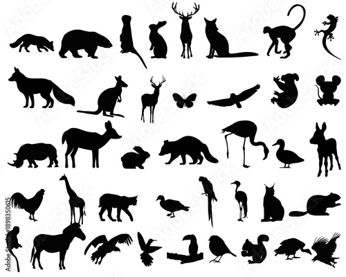 Wild animal silhouettes vector set. Zoo, jungle and forest mammal collection. Nature fauna symbols. Isolated on white background.