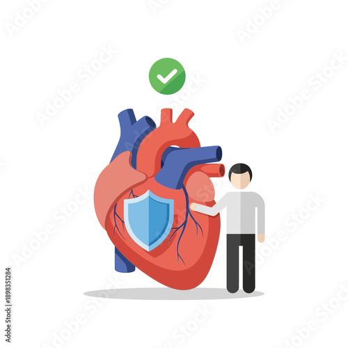 Healthy Heart Protection, Medical Checkup, Human Care, Cardiology Concept