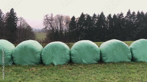 Hay bales wrapped in green plastic foil orderly aligned in an agricultural field in the countryside in Germany, Europe