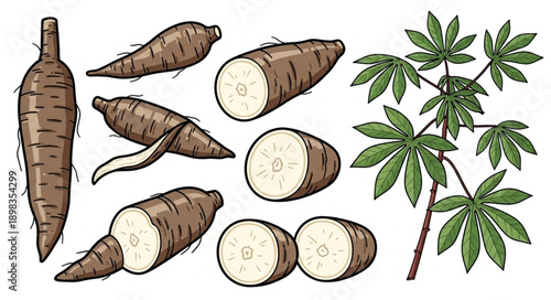 exotic tropical fruit