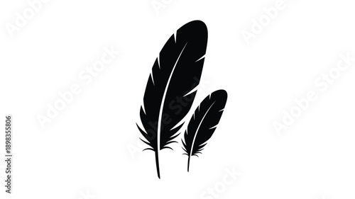 Two black feathers displayed against a white background silhouette