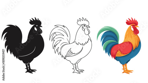 Graphic set of a rooster displayed in three styles including a solid black silhouette a simple line outline and a full color version.