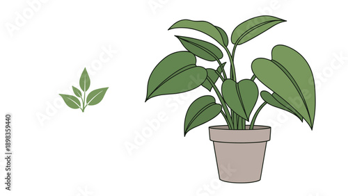 Simple comparison illustration of a tiny green sprout and a mature lush potted plant to show natural growth and progress.