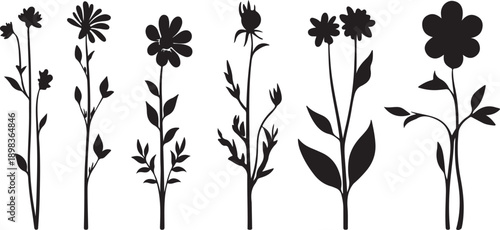 Would you like me to generate a set of keywords based on this description?