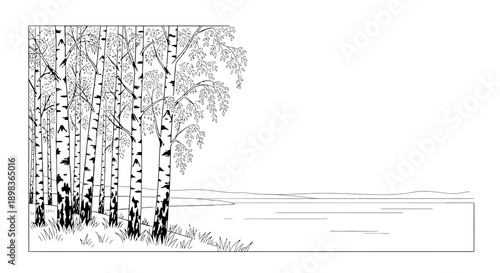 Birch Forest by the Lake, Line Art Vector