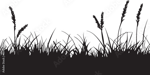 Would you like me to generate a similar set of descriptive strings for other nature-themed vectors?