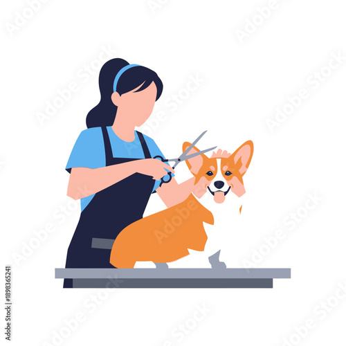 Dog Grooming: Stylist trims fluffy corgi on grooming table, illustration