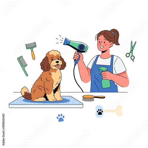 Dog grooming: Groomer blow-drying poodle with hairdryer, spray bottle, scissors, brushes