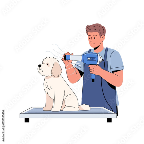 Groomer drying fluffy white dog with hairdryer on grooming table, flat illustration