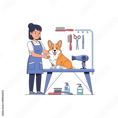 Happy Corgi Dog Grooming Session with Professional Groomer and Tools