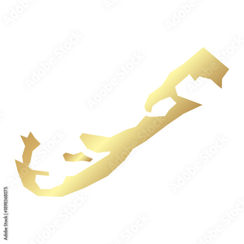 Flat Gold Bermuda Simple Map Banner Background