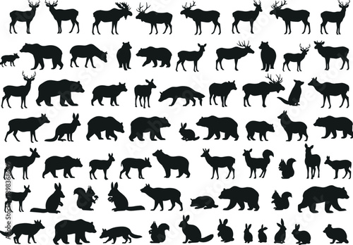 Silhouette animal collection with mammals, woodland creatures, wildlife taxonomy, zoological illustration, environmental design, biodiversity reference, nature art catalog