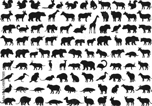 Silhouette animal collection with mammals, birds, reptiles, amphibians, wildlife taxonomy, zoological illustration, environmental design, nature art, biodiversity reference