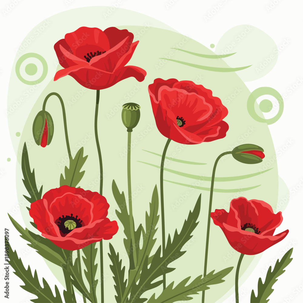 Obraz premium Colorful depiction of red poppy flowers with green stems and leaves